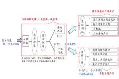 图片21_副本.png