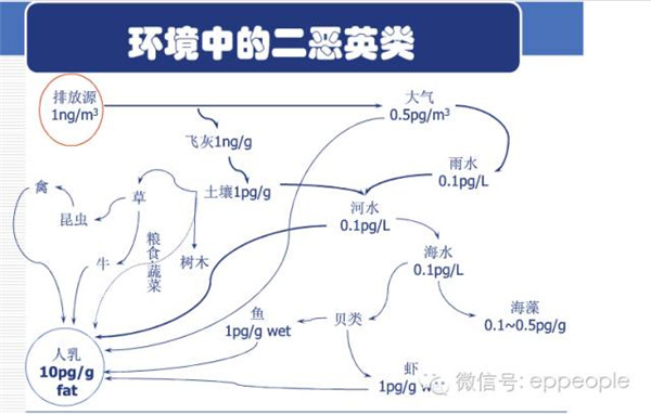 【干货】垃圾焚烧与二恶英的关系(附二恶英解
