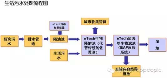 人口生命表格式或构成_1.美丽的生命表格式教案