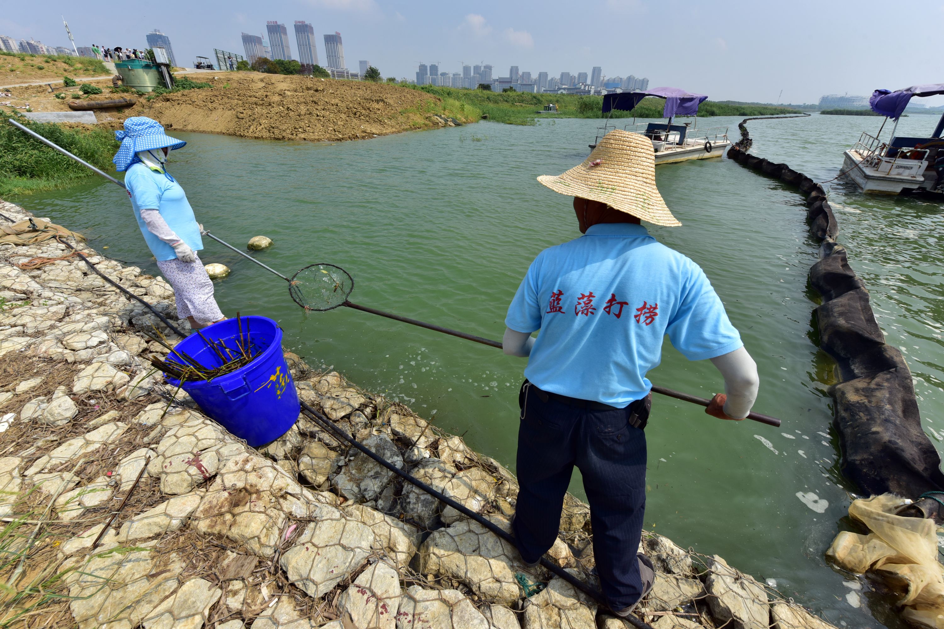 巢湖人口有多少_合肥市人口有多少 合肥各个地区人口分布情况(3)