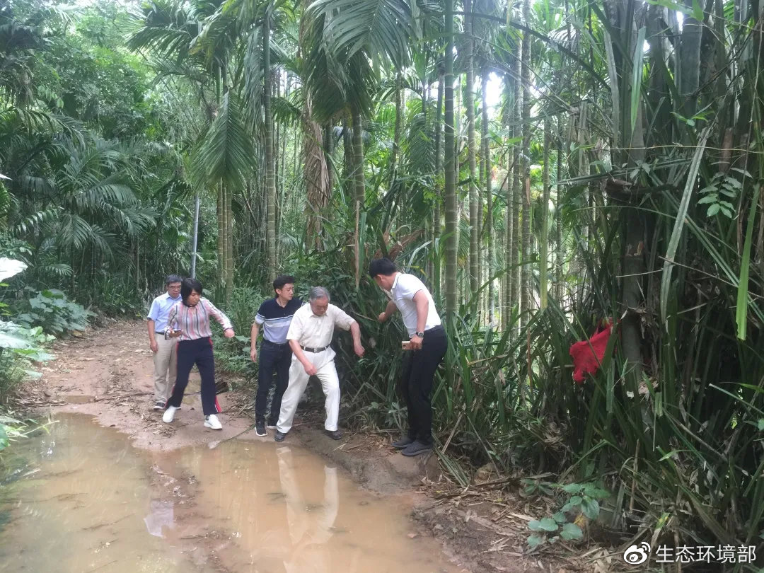 中央第三生态环境保护督察组现场暗访海南省屯昌县群众信访投诉案件