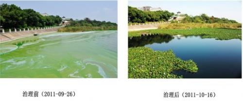 水污染治理对比图片