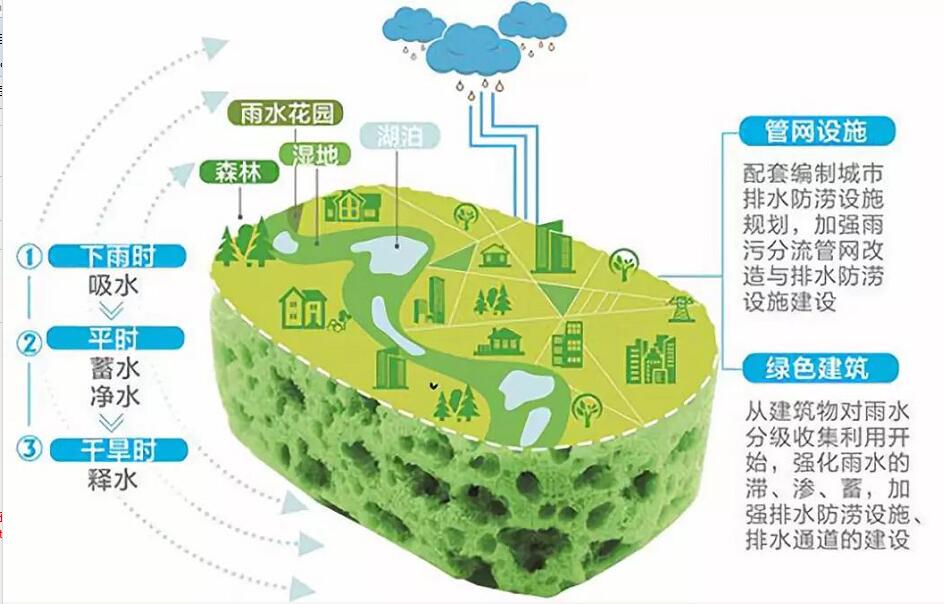 海绵城市—逃离"水上城市"新出路
