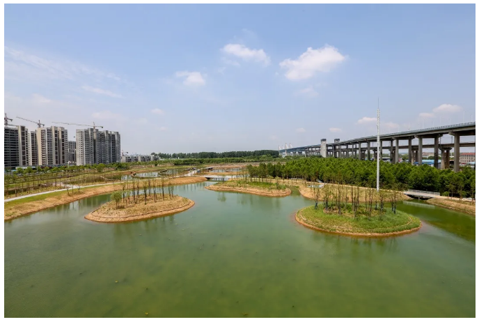 芜湖市万春湖生态公园图片