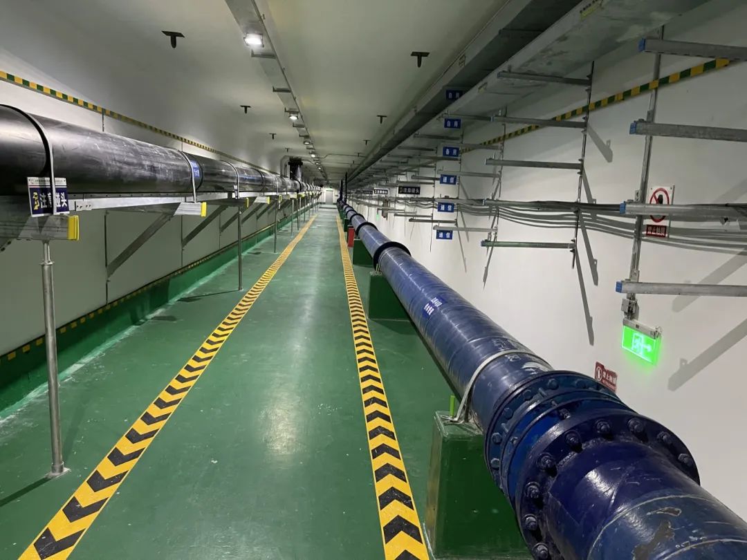 37_5_1723166440.jpeg?wx_fmt=other&from=appmsg&tp=webp&wxfrom=5&wx_lazy=1&wx_co=1