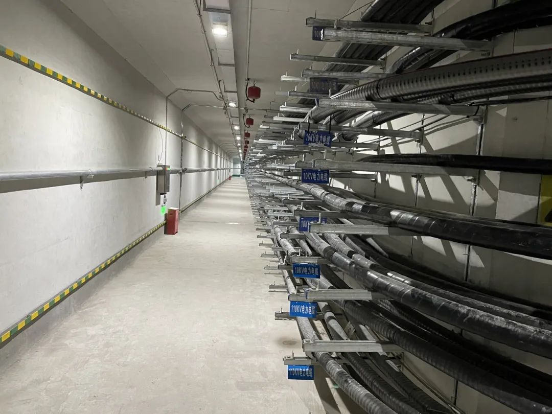 37_6_1723166440.jpeg?wx_fmt=other&from=appmsg&tp=webp&wxfrom=5&wx_lazy=1&wx_co=1