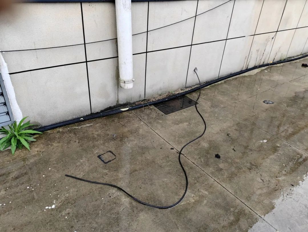 37_9_1723166694.jpeg?wx_fmt=other&from=appmsg&tp=webp&wxfrom=5&wx_lazy=1&wx_co=1