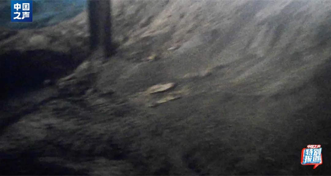 37_9_1724809039.jpeg?wx_fmt=other&from=appmsg&wxfrom=5&wx_lazy=1&wx_co=1&tp=webp