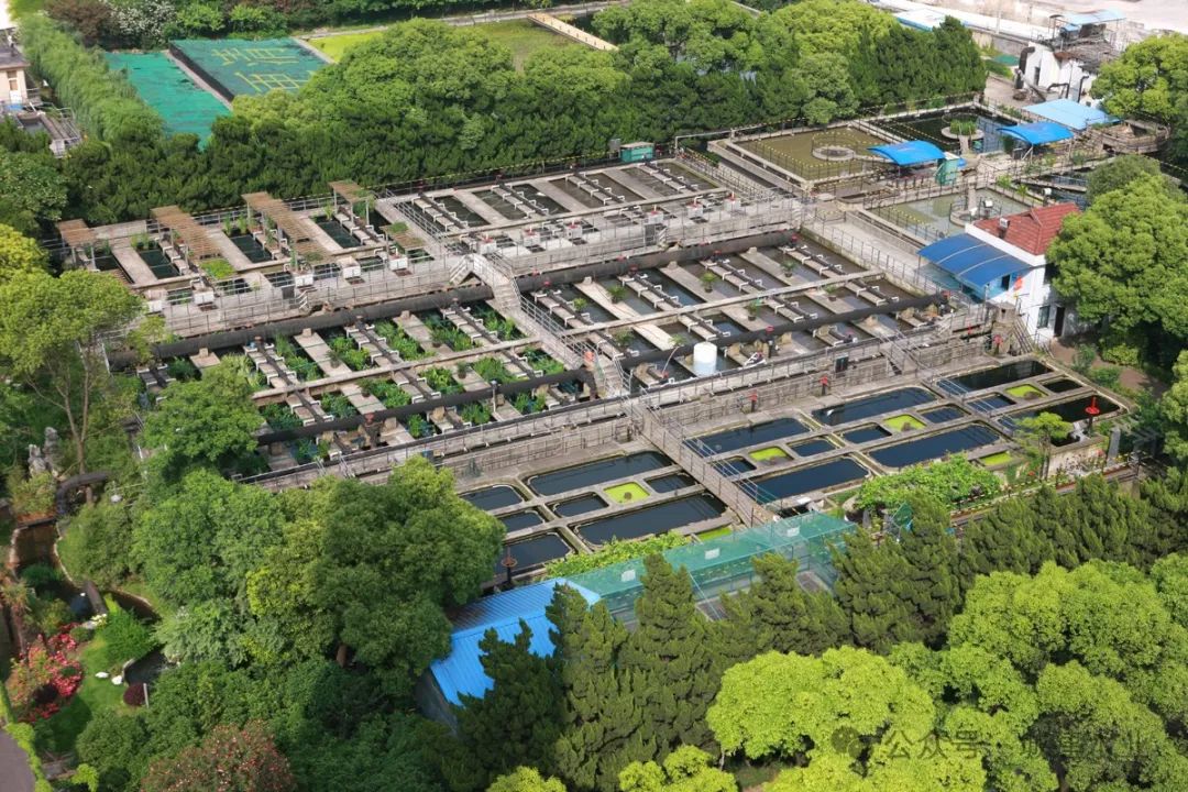 37_23_1727056575.jpeg?wx_fmt=jpeg&from=appmsg&tp=wxpic&wxfrom=5&wx_lazy=1&wx_co=1