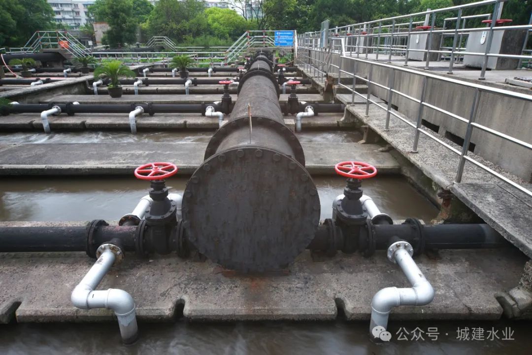 37_28_1727056575.jpeg?wx_fmt=jpeg&from=appmsg&tp=wxpic&wxfrom=5&wx_lazy=1&wx_co=1