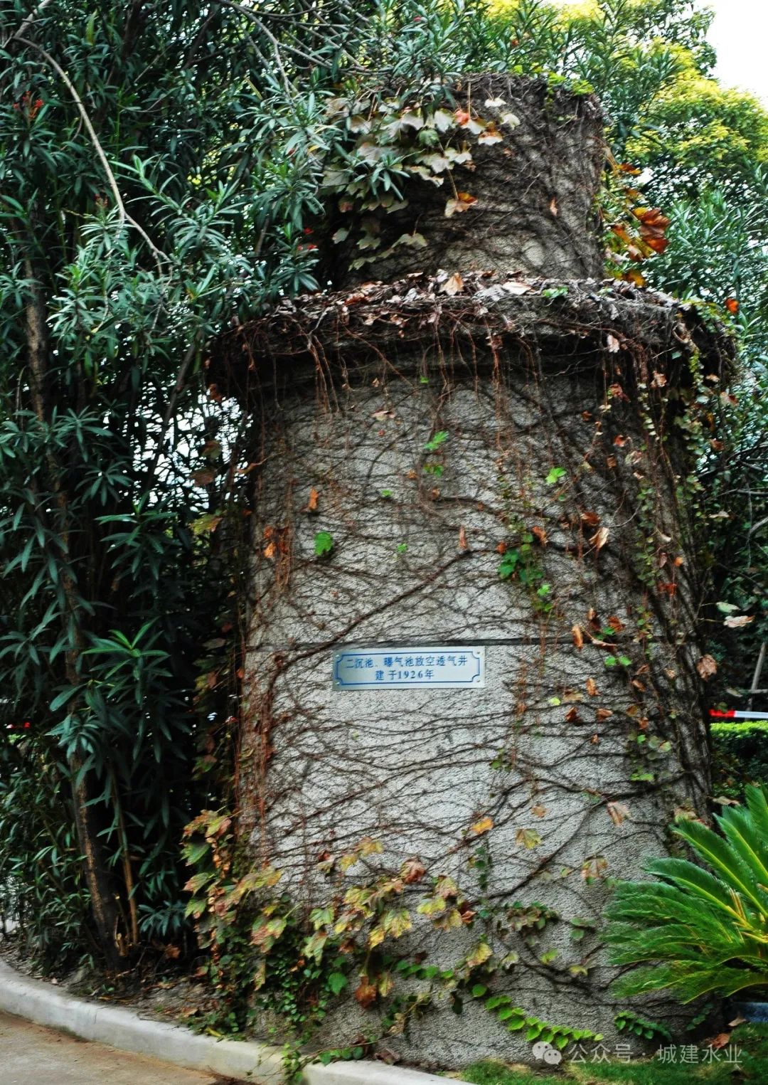 37_29_1727056575.jpeg?wx_fmt=jpeg&from=appmsg&tp=wxpic&wxfrom=5&wx_lazy=1&wx_co=1