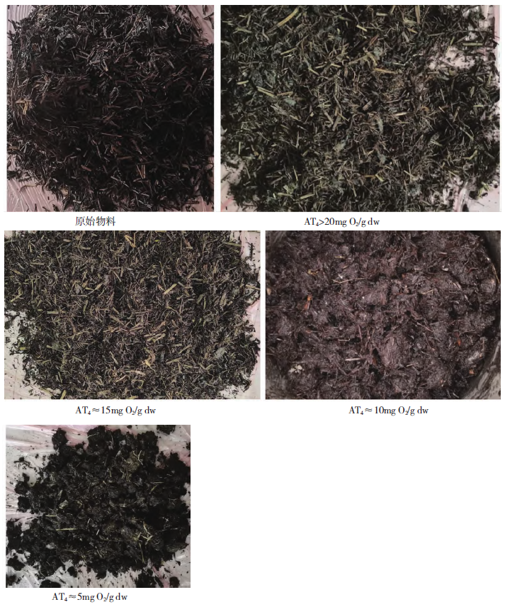 37_11_1738807183.png?wx_fmt=png&from=appmsg&tp=wxpic&wxfrom=5&wx_lazy=1&wx_co=1