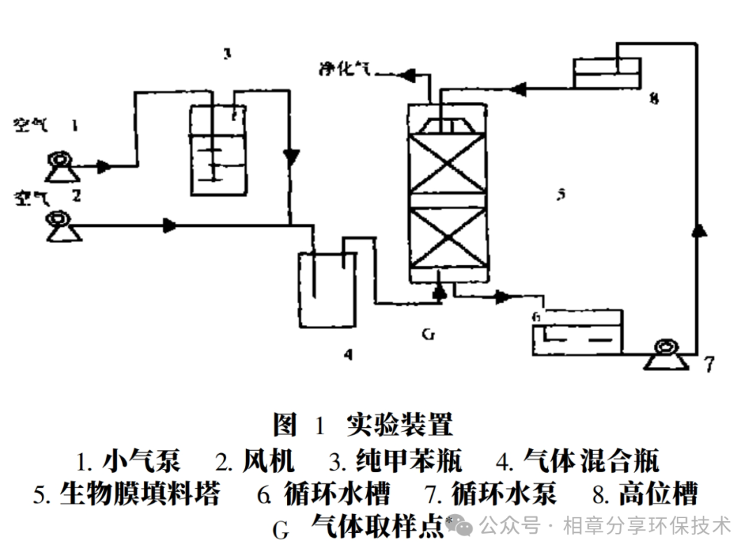 37_2_1738977920.png?wx_fmt=other&tp=webp&wxfrom=5&wx_lazy=1&wx_co=1