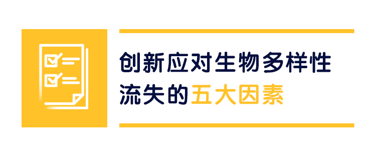 ac574a7aadca4a5b10ae7f3033f67787.png