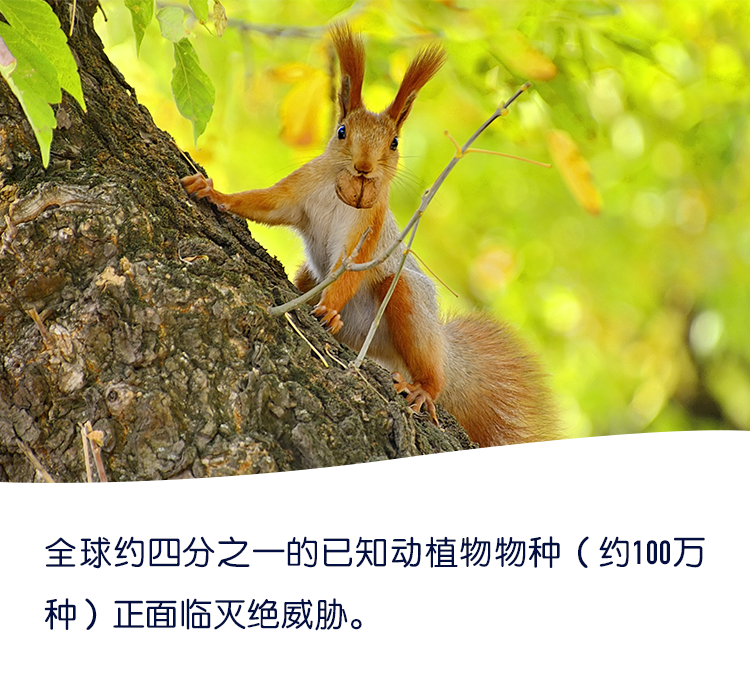 338780f1456ad7c6009e7de937f074a7.png