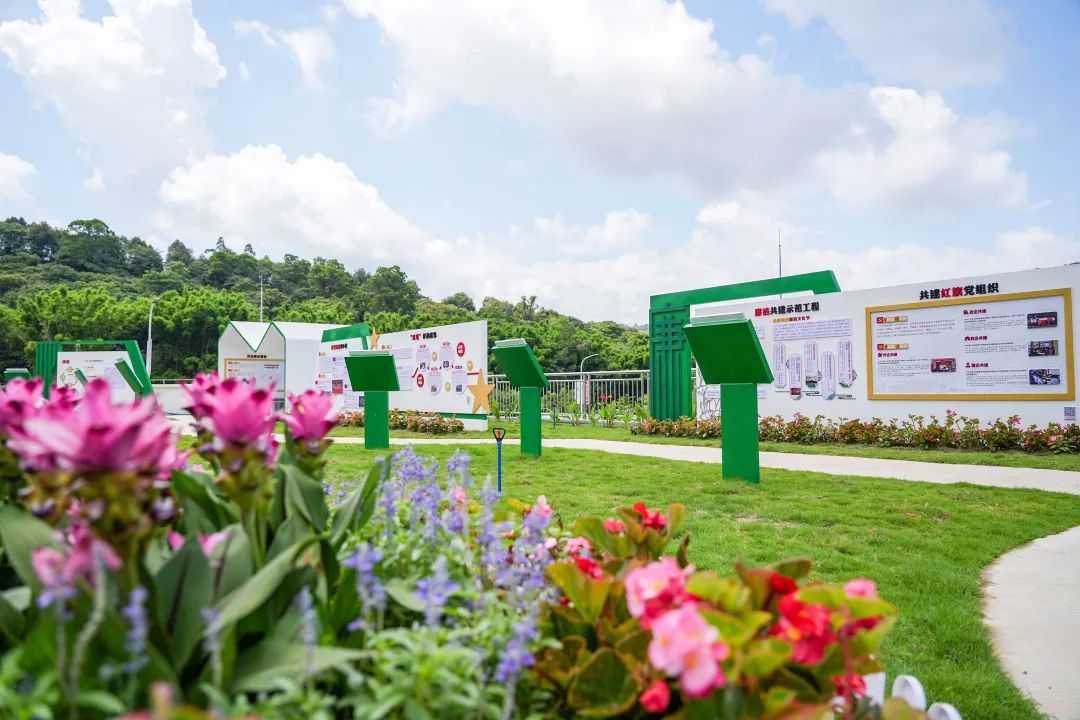 37_3_1748316225.jpeg?wx_fmt=other&from=appmsg&tp=webp&wxfrom=5&wx_lazy=1&wx_co=1