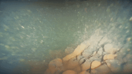 640.gif