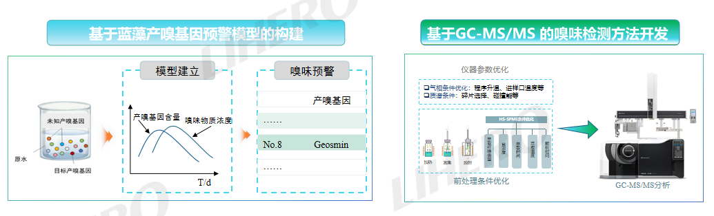 95b73b6273a6ee762fec417a1804cb43.png