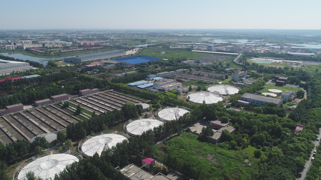 113_2_1761875109.png?wx_fmt=png&from=appmsg