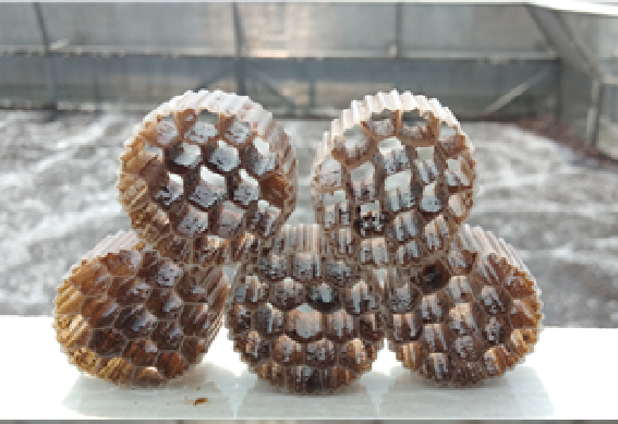 113_9_1761816386.png?wx_fmt=png