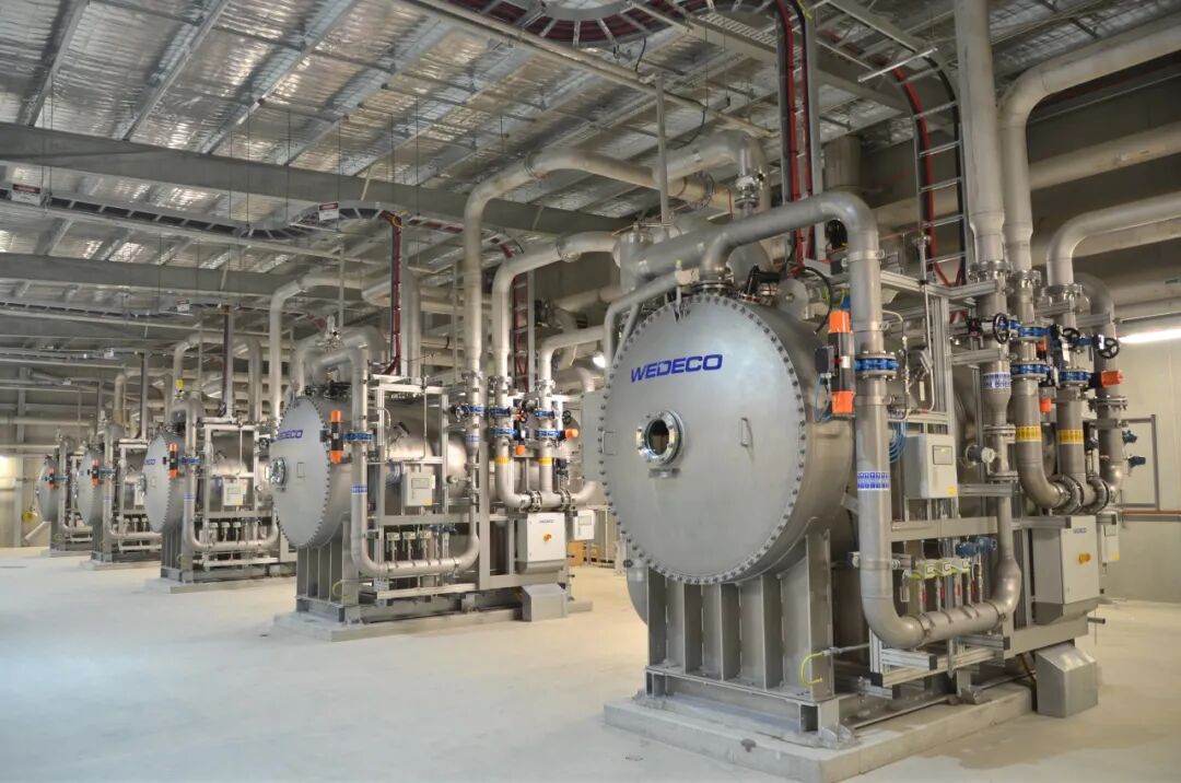 113_2_1762394828.jpeg?wx_fmt=jpeg