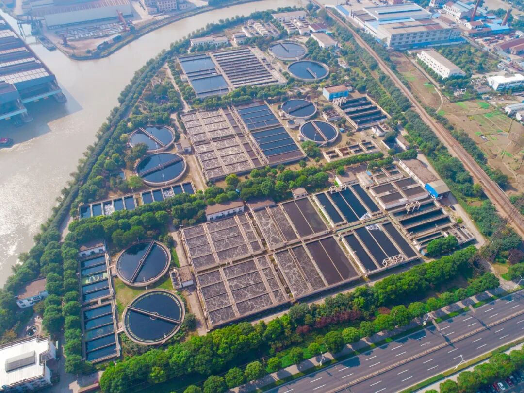 113_2_1763543131.jpeg?wx_fmt=jpeg