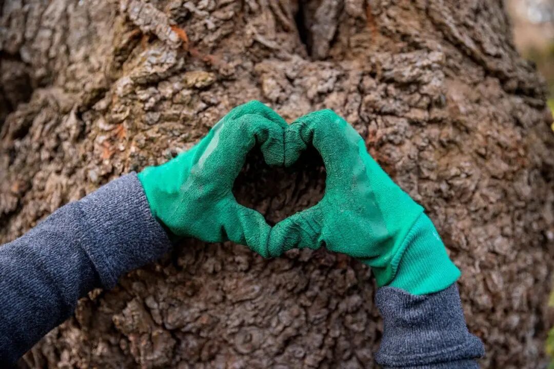 113_9_1762226443.jpeg?wx_fmt=jpeg