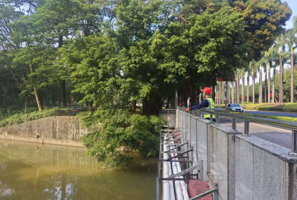 1762395456550006.png image.png