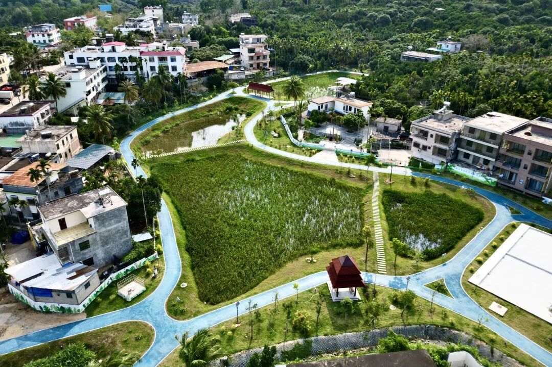 113_17_1766043154.jpeg?wx_fmt=jpeg