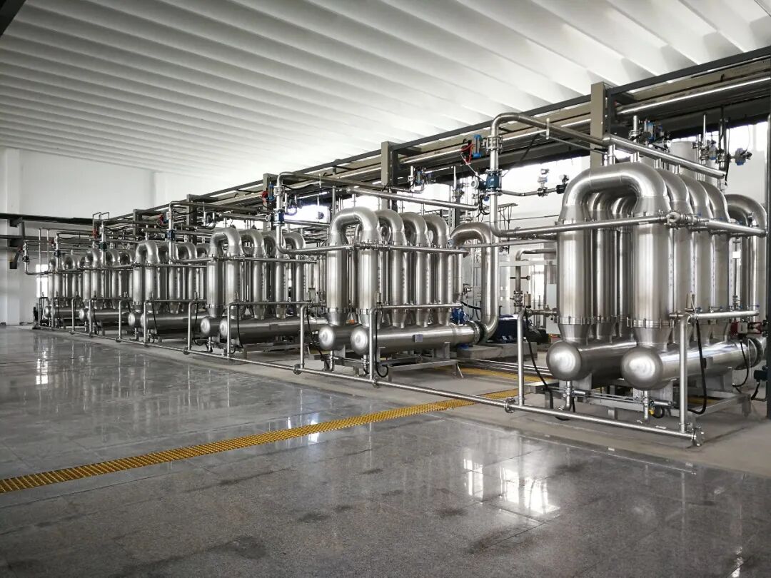 113_3_1766370105.jpeg?wx_fmt=jpeg&from=appmsg