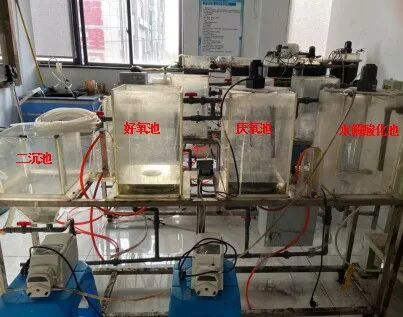 113_3_1766628310.jpeg?wx_fmt=jpeg