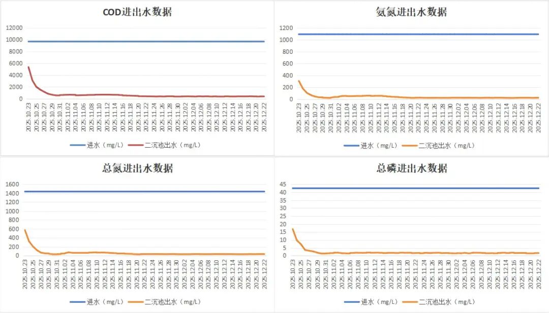 113_4_1766628310.jpeg?wx_fmt=jpeg&from=appmsg