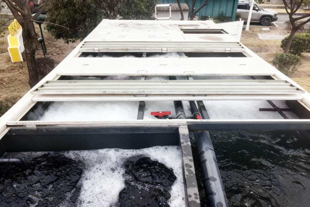 113_5_1765351964.png?wx_fmt=png&from=appmsg