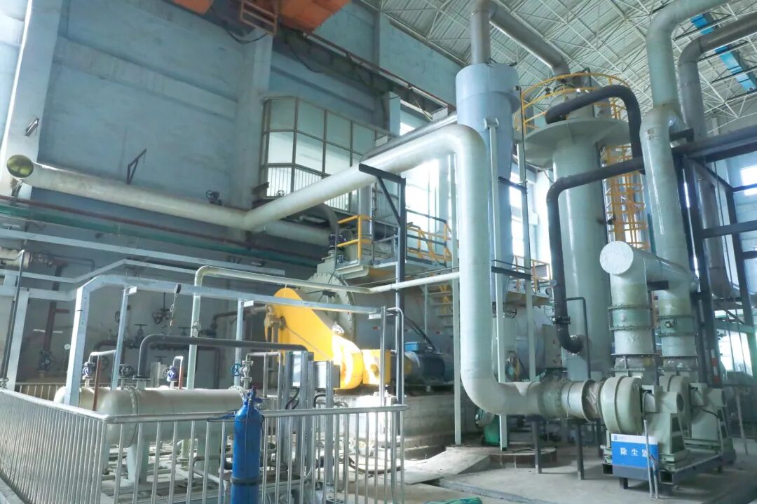 113_5_1766731740.jpeg?wx_fmt=jpeg&from=appmsg