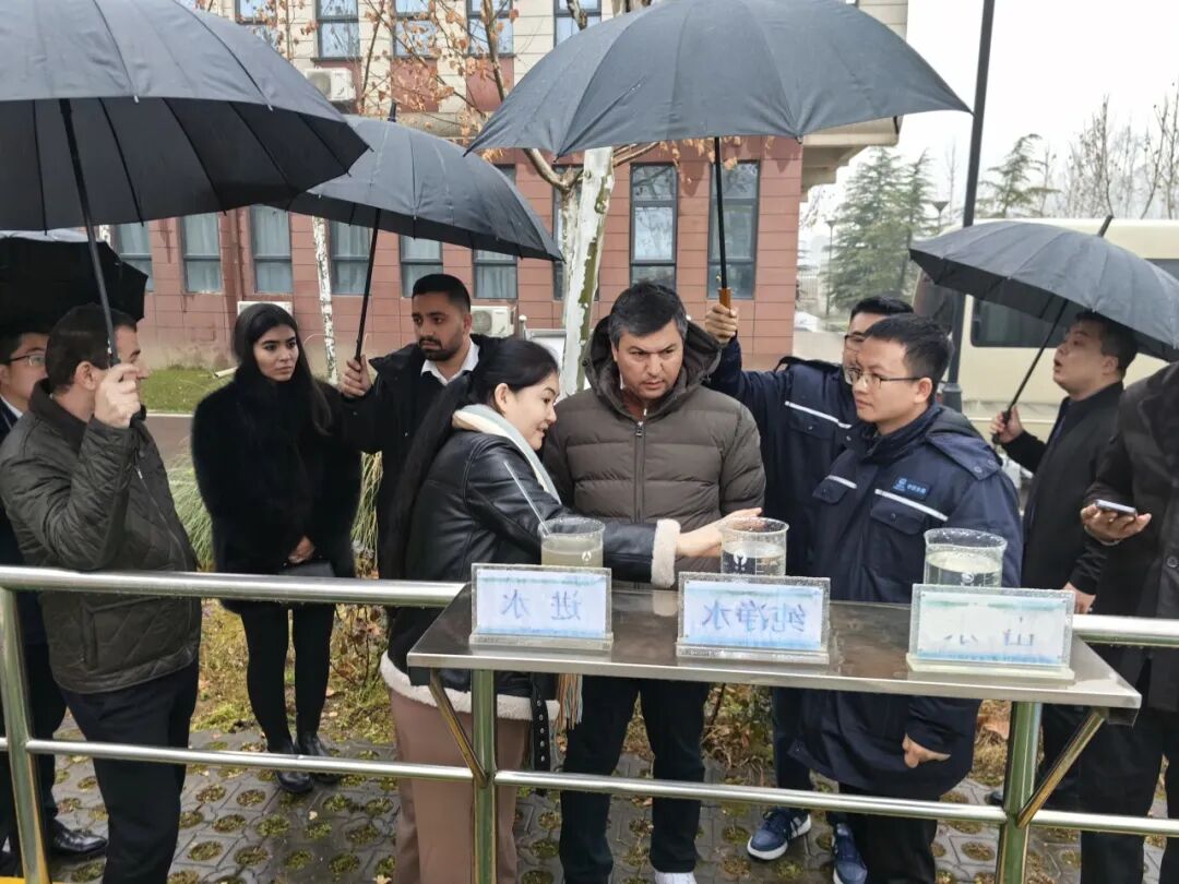 113_6_1765529036.jpeg?wx_fmt=jpeg