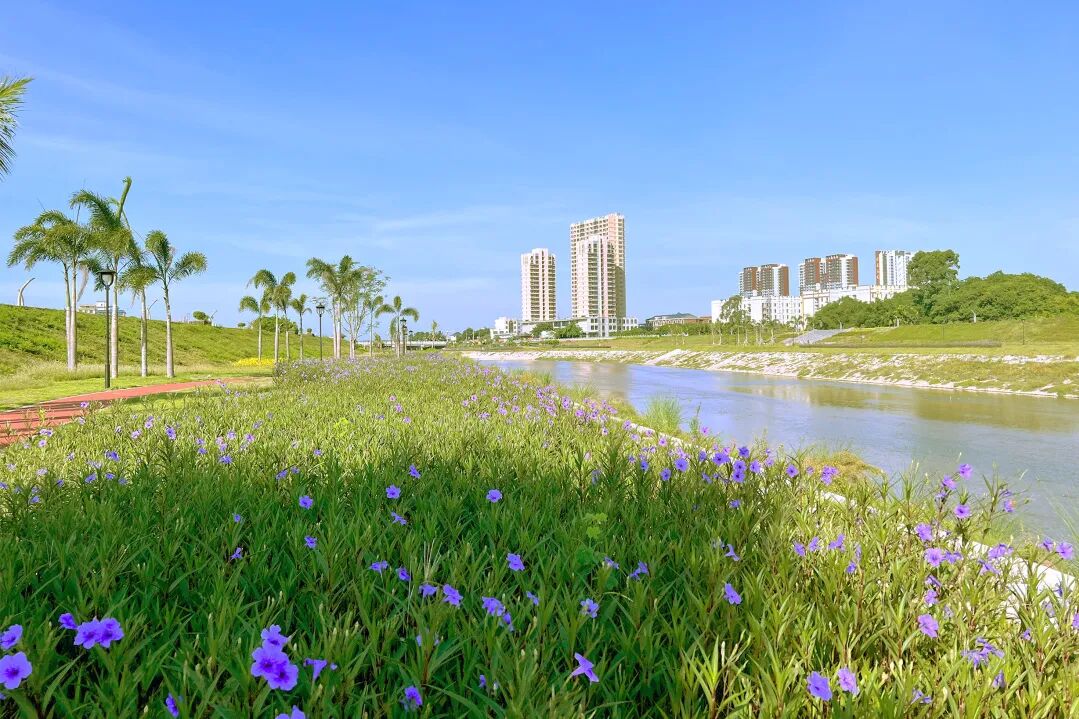 113_7_1766043154.jpeg?wx_fmt=jpeg