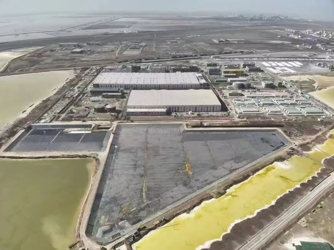 113_7_1766370105.jpeg?wx_fmt=jpeg&from=appmsg