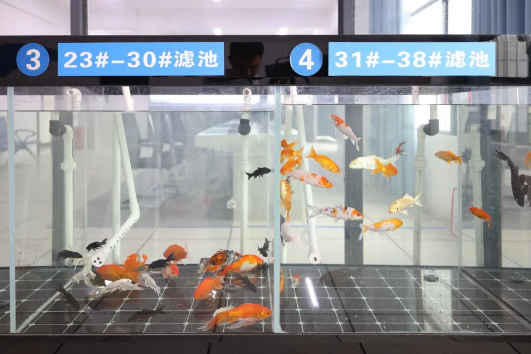 113_8_1765936419.jpeg?wx_fmt=jpeg&from=appmsg