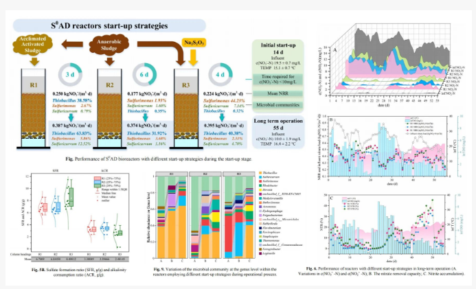 1765330413296642.png image.png