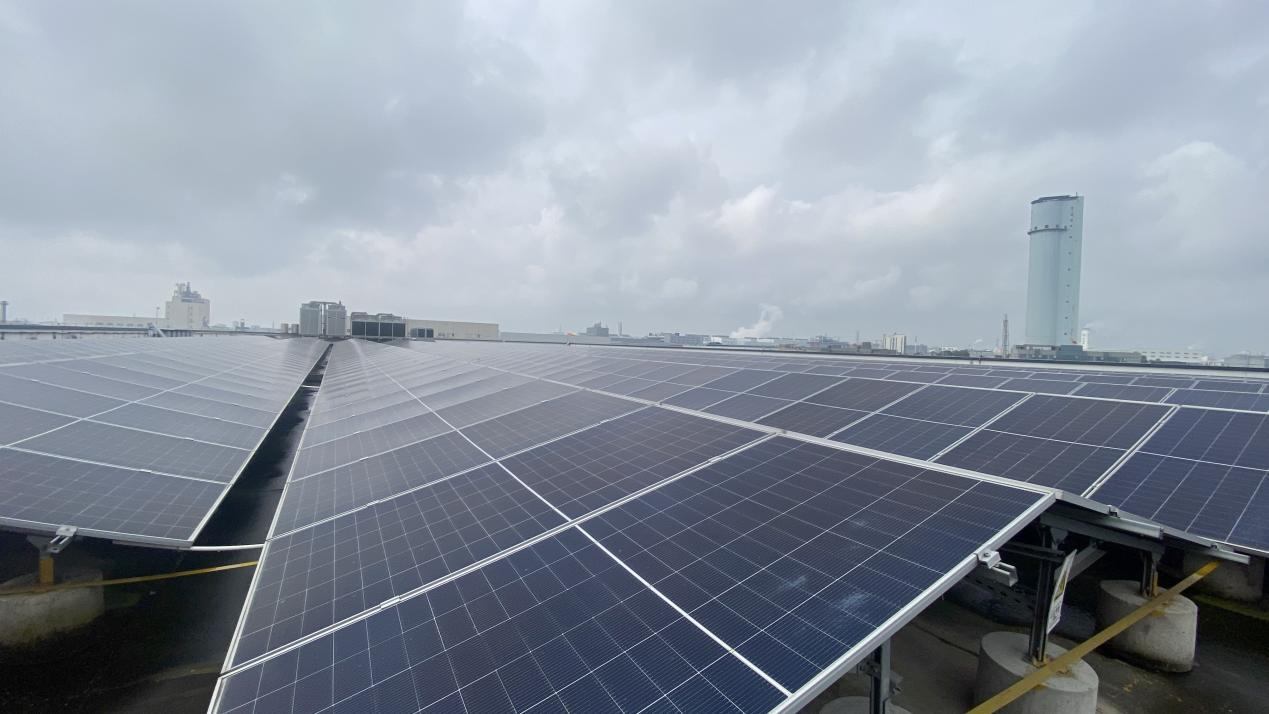 1765348815732493.png 55d0b739e198094e0a3f54414222b5f0.png