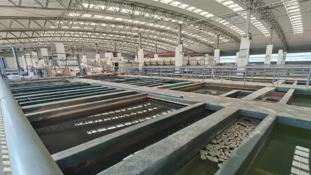 1765415855679990.png image.png