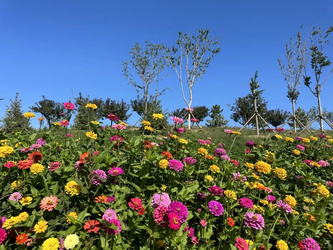 113_13_1767837794.jpeg?wx_fmt=jpeg&from=appmsg