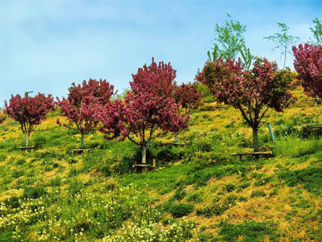 113_14_1767837794.jpeg?wx_fmt=jpeg&from=appmsg