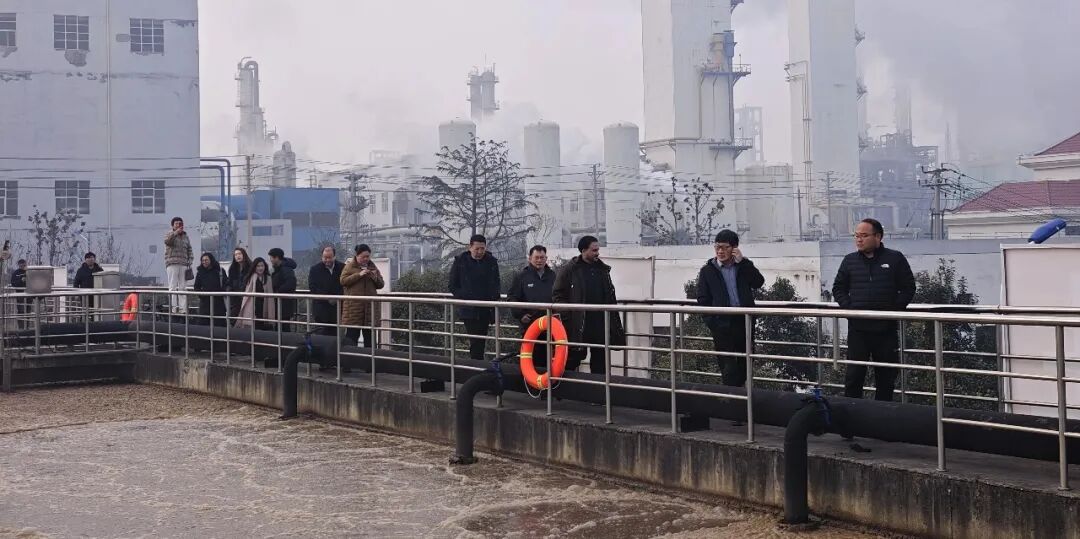 113_15_1768789410.jpeg?wx_fmt=jpeg