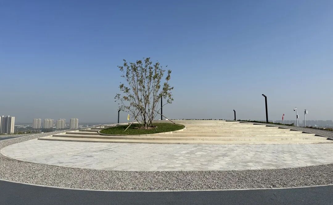 113_16_1767837794.jpeg?wx_fmt=jpeg&from=appmsg