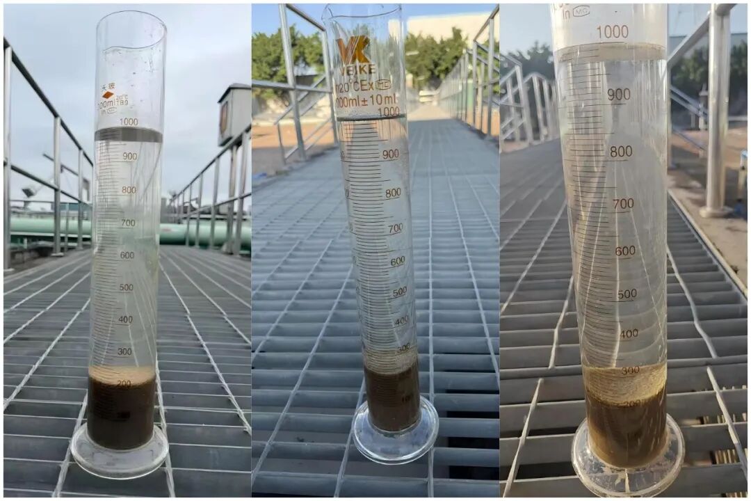 113_1_1768268597.jpeg?wx_fmt=jpeg&from=appmsg