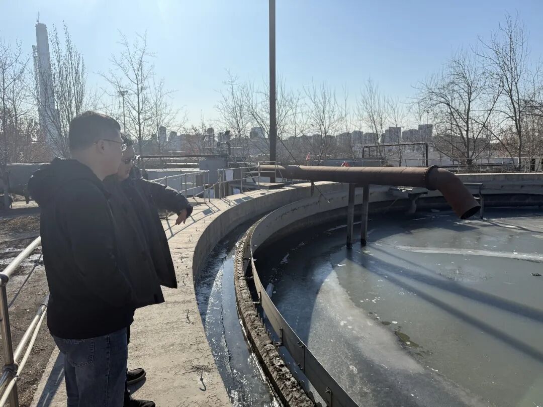 113_2_1767488874.jpeg?wx_fmt=jpeg&from=appmsg