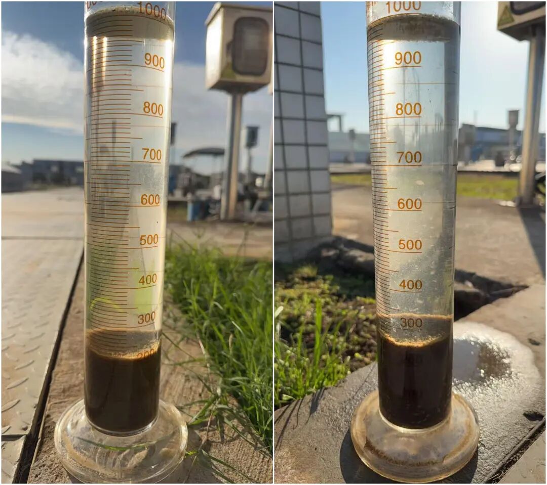 113_2_1768268597.jpeg?wx_fmt=jpeg&from=appmsg