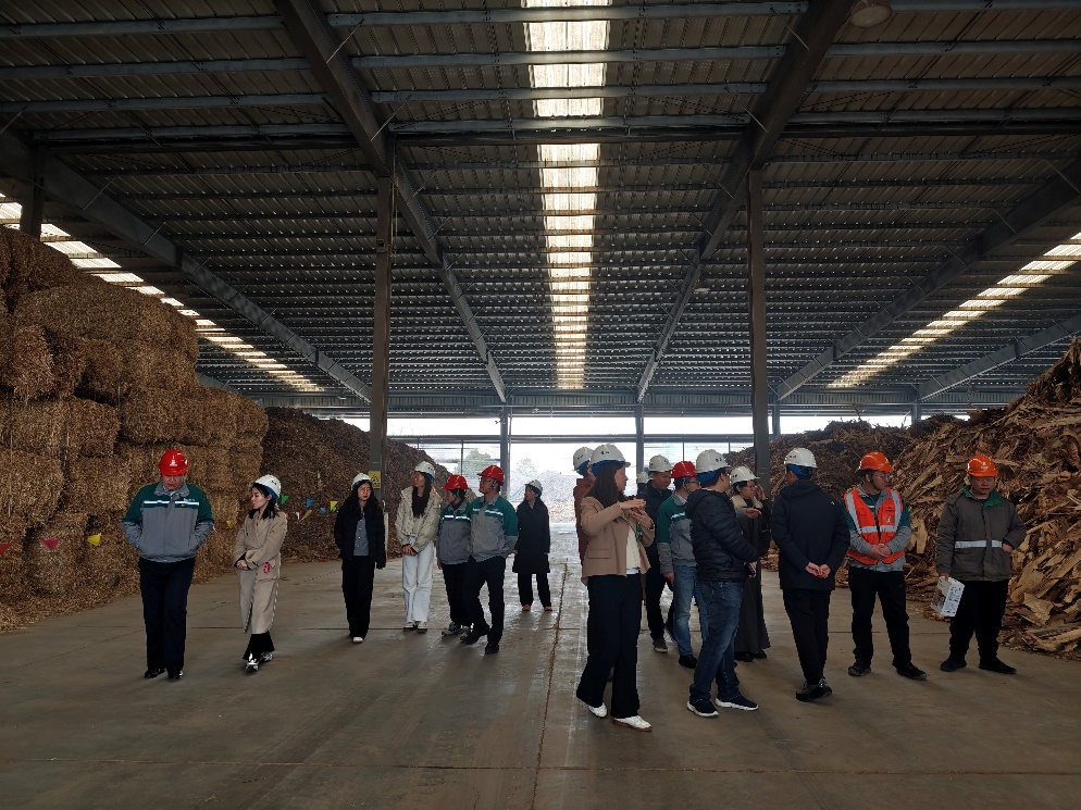 113_2_1769045700.png?wx_fmt=png