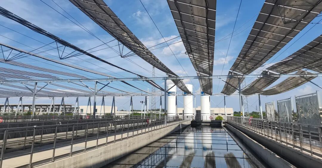 113_3_1768181326.jpeg?wx_fmt=jpeg&from=appmsg